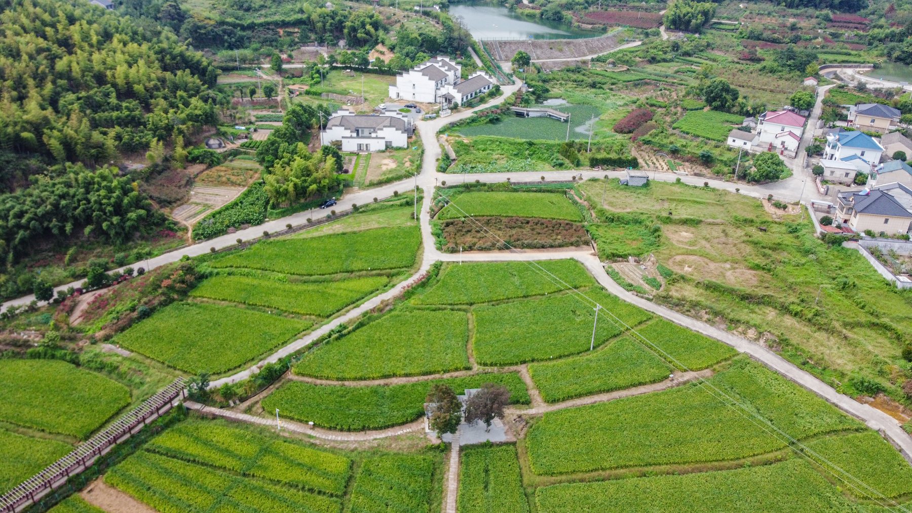 四明山耕生态农场与山野田园
