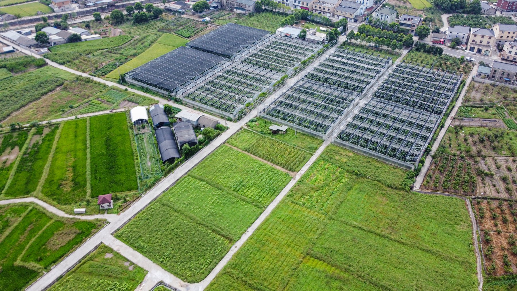 四明山耕生态农场航拍田园