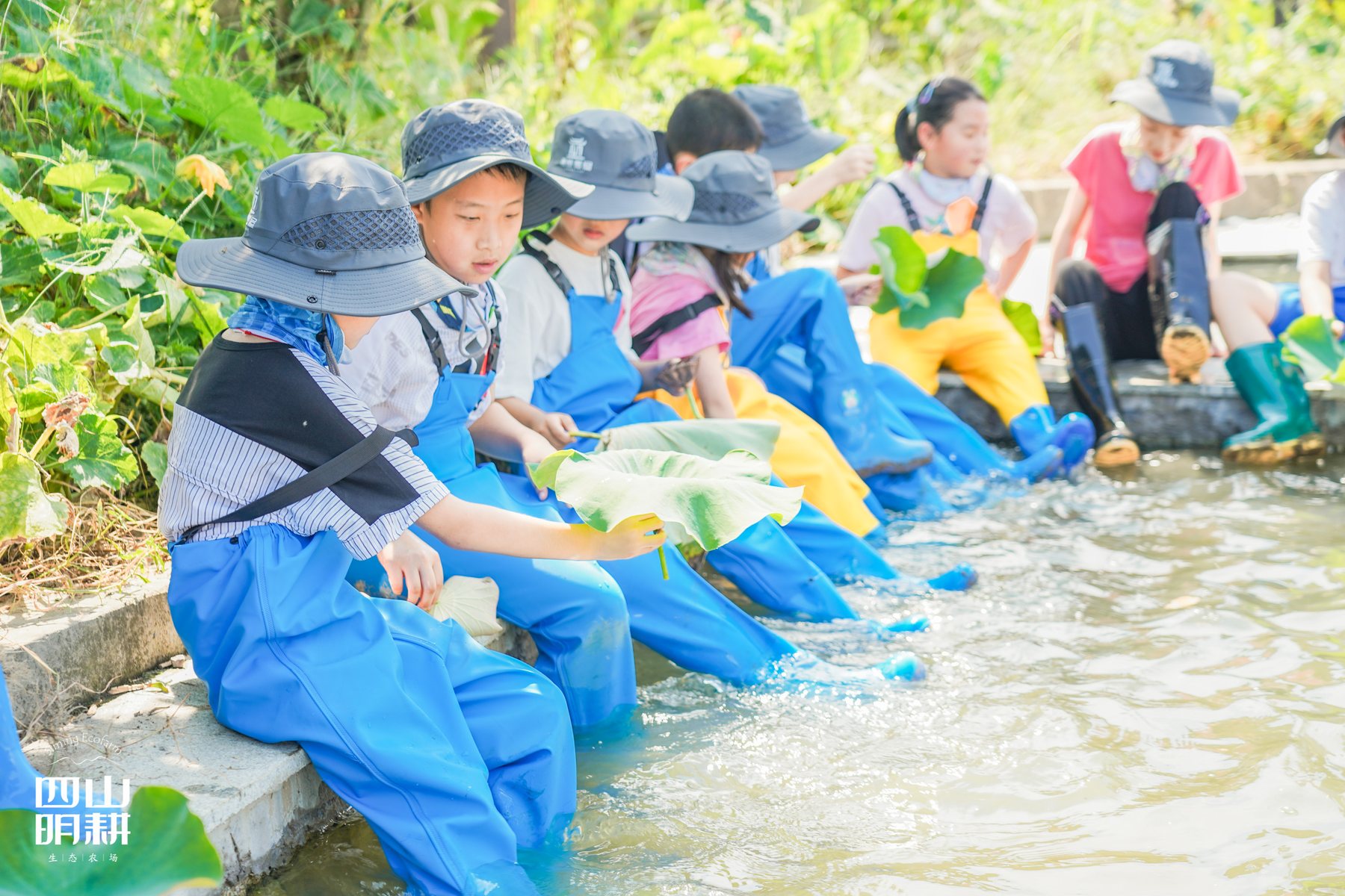 四明山耕自然学堂溪流观察
